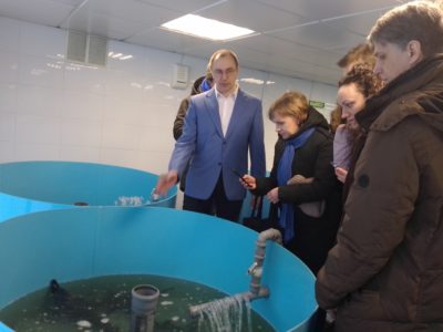 разведение раков