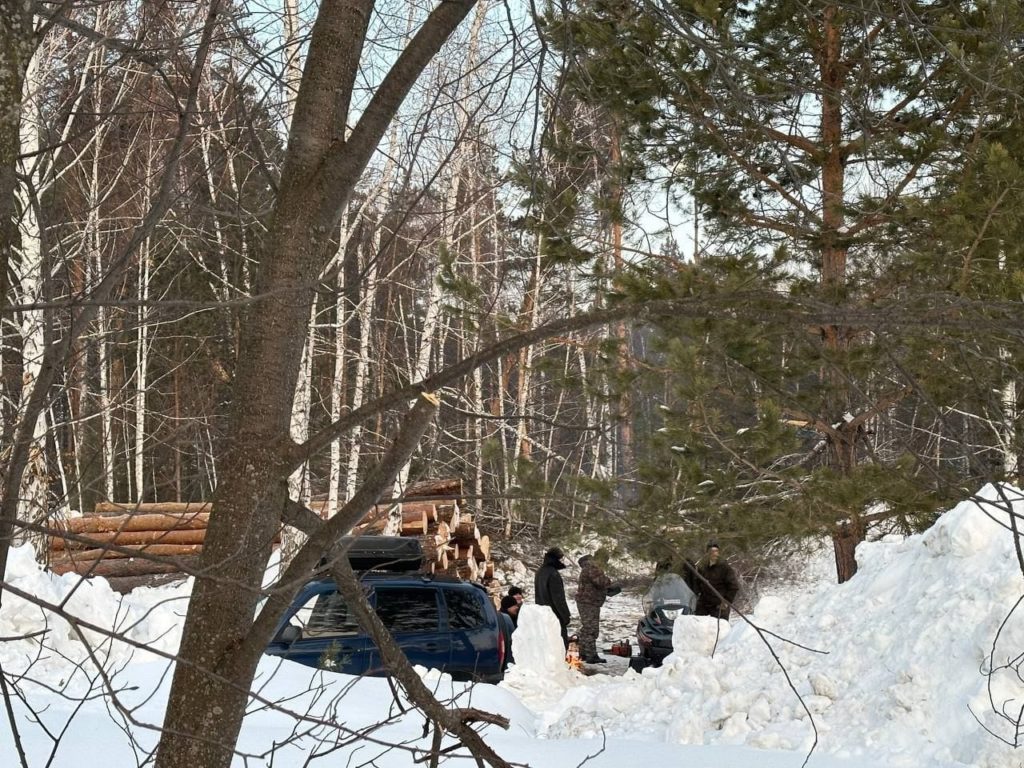 Девелопер прокомментировал вырубку деревьев в «Юном медике»