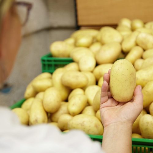 Отечественные производители хотят, чтобы ввоз в Россию картофеля был запрещен