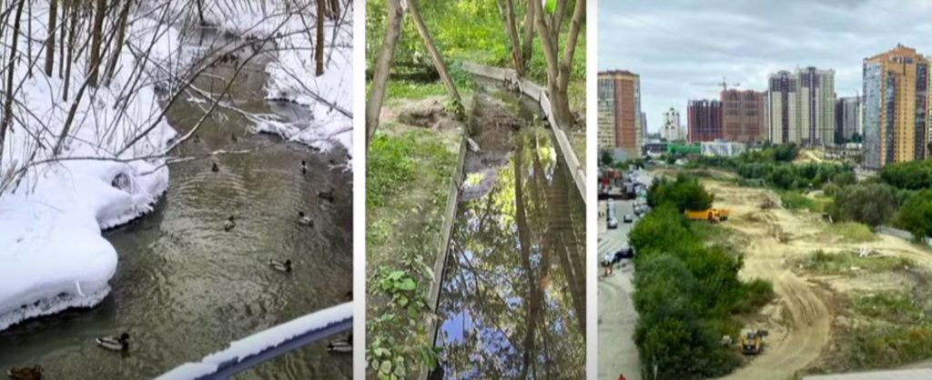 В 2023 году в Новосибирске планируют доработать концепцию водно-зеленого каркаса города