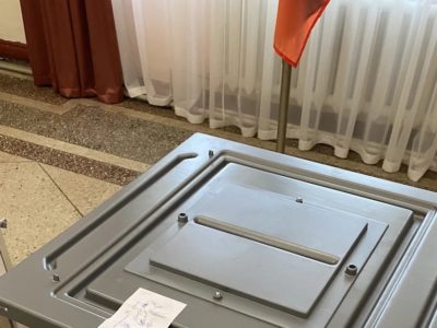 выборы главы Сузунского района