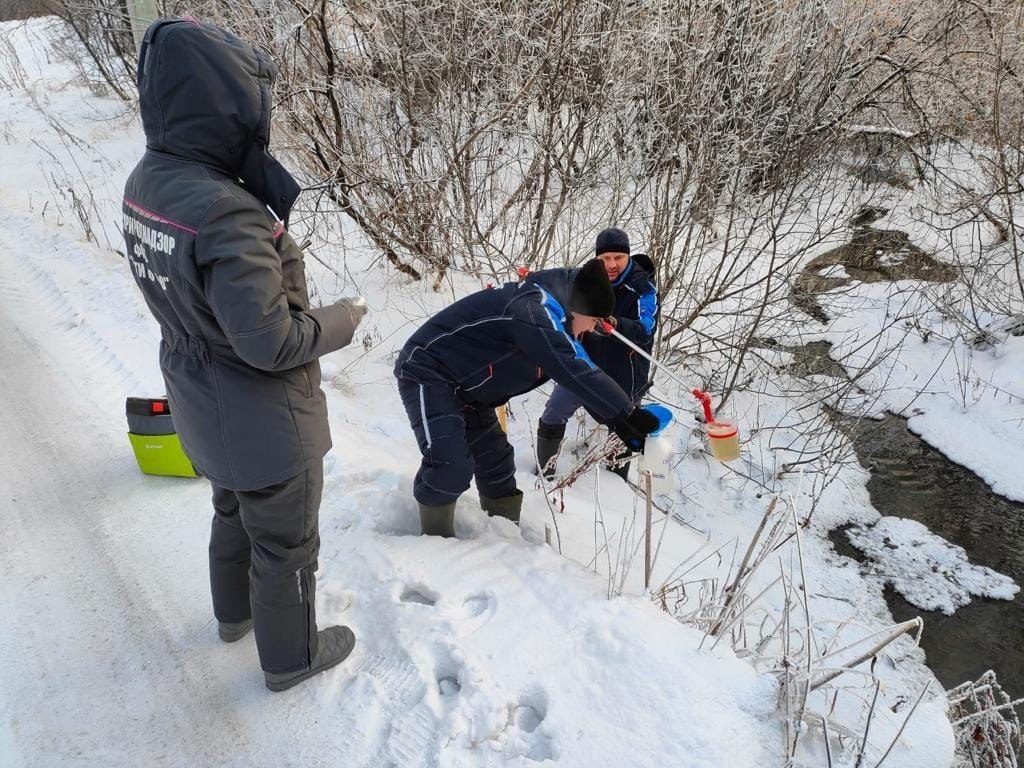 Психиатрическая больница возместит вред природе