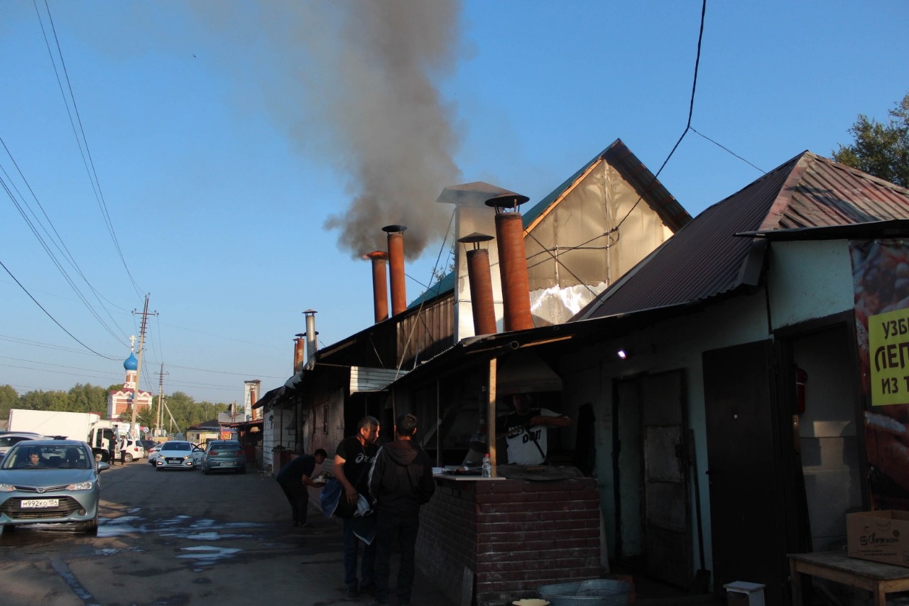 В этом году появится санитарная зона в районе Хилокского жилмассива -  Infopro54 - Новости Новосибирска. Новости Сибири