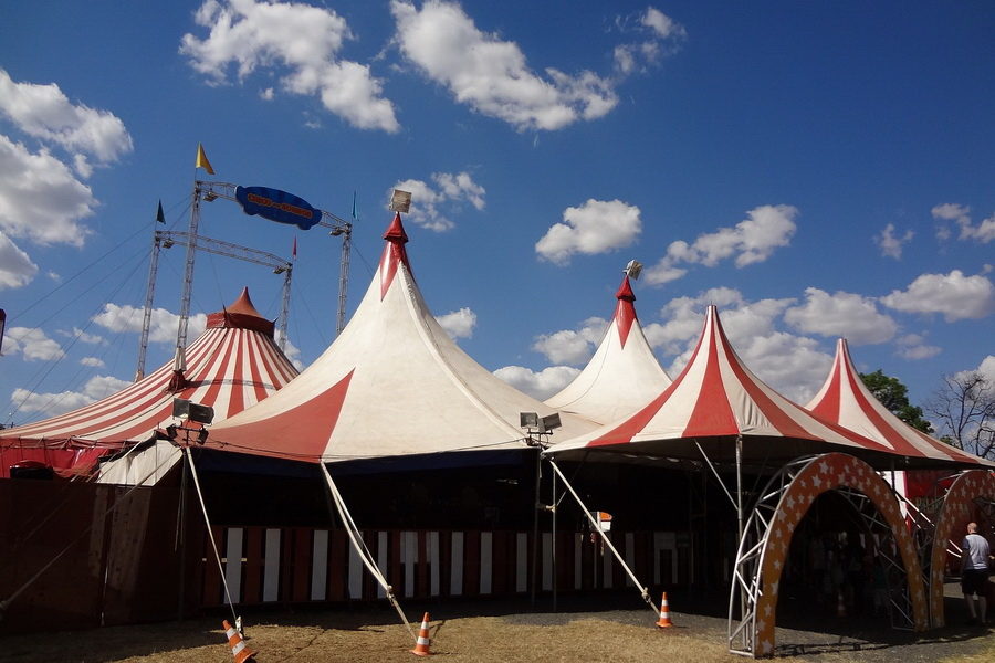 реконструкция цирка