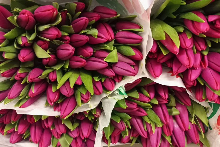 Стоимость букета цветов 8 Марта в Новосибирске составит 1800 рублей