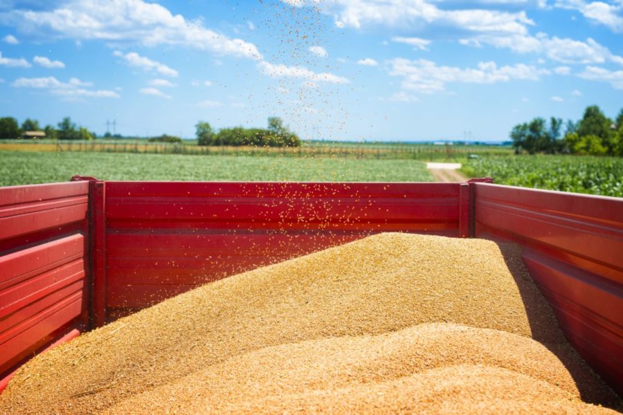 Россия с начала сельхозгода смогла поставить 40 млн тонн зерна