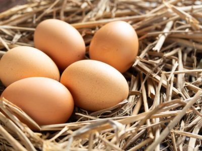 Самообеспеченность России по пищевому яйцу составила почти 100%