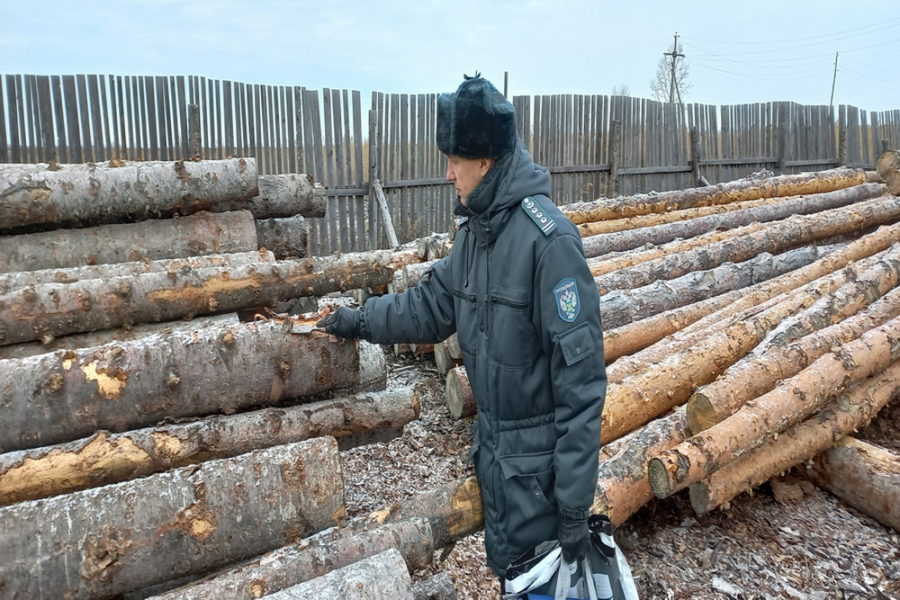 Сибирские регионы просят разрешить экспорт продуктов леспрома на местных пунктах пропуска