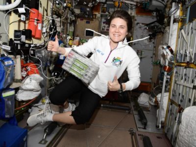 Анна Кикина, космонавт из Новосибирска