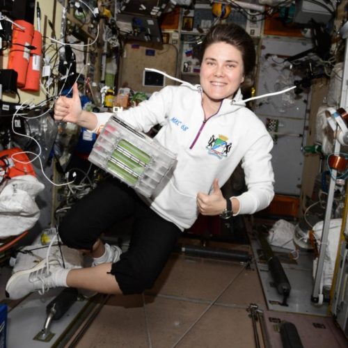 Анна Кикина, космонавт из Новосибирска