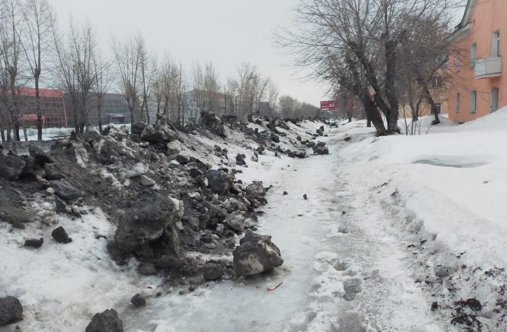 В Новосибирске прощаются с бионордом