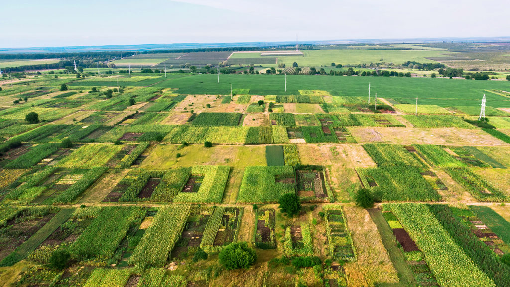 Землям Новосибирской области присваивают категории риска