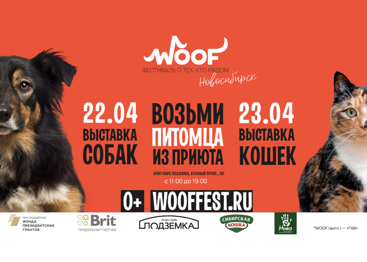 В Новосибирске впервые пройдет фестиваль-выставка животных из приютов WOOF  - Infopro54 - Новости Новосибирска. Новости Сибири