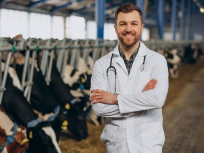 Минсельхоз предложил обязать торговлю нанимать ветеринарных врачей для приемки мяса