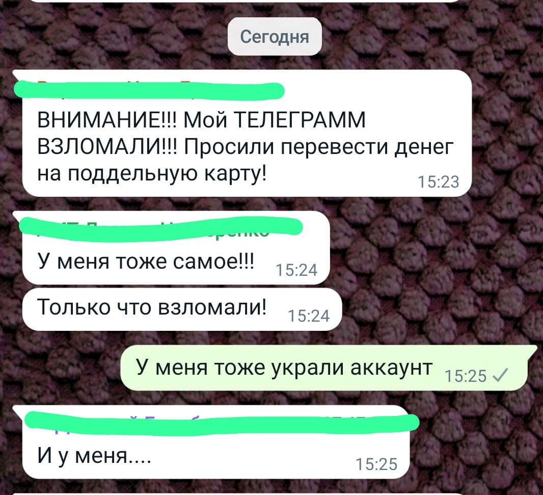 Предприниматели жалуются на массовый взлом Telegram-аккаунтов - Infopro54 -  Новости Новосибирска. Новости Сибири