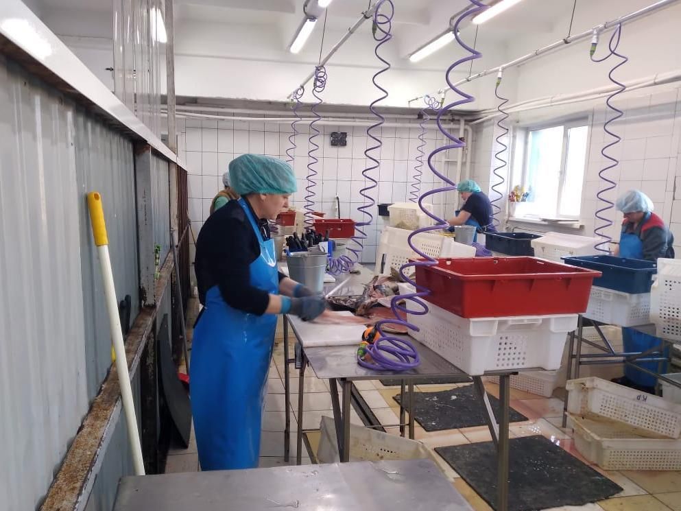 Крупные предприятия пищевой промышленности региона вошли в нацпроект