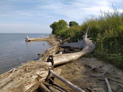 разрушение берегов Новосибирского водохранилища
