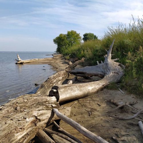 разрушение берегов Новосибирского водохранилища