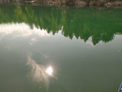 Торги на аренду водоемов