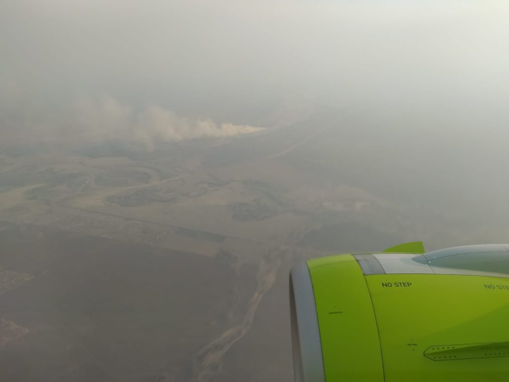 «Каленым железом» предлагает бороться с лесными пожарами министр природы Шестернин