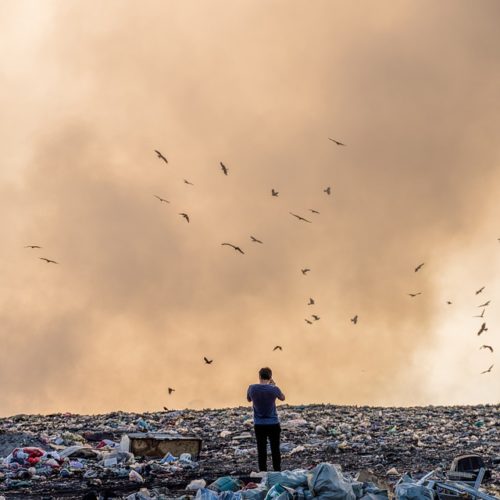 мусорный полигонв Новосибирской области