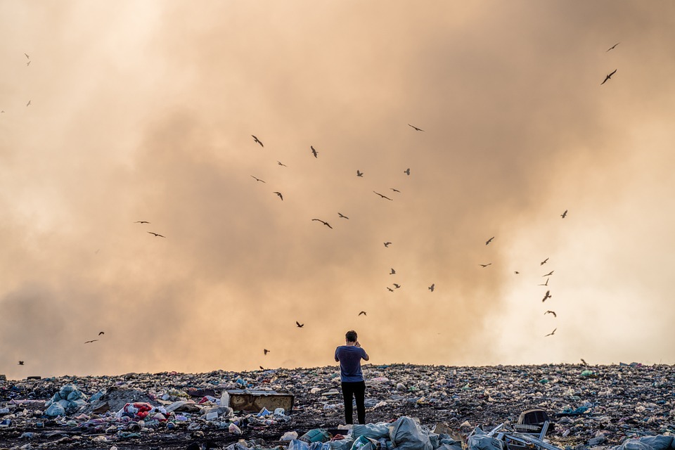 Новосибирские «бюджетные» мусорные полигоны не привлекают местный бизнес