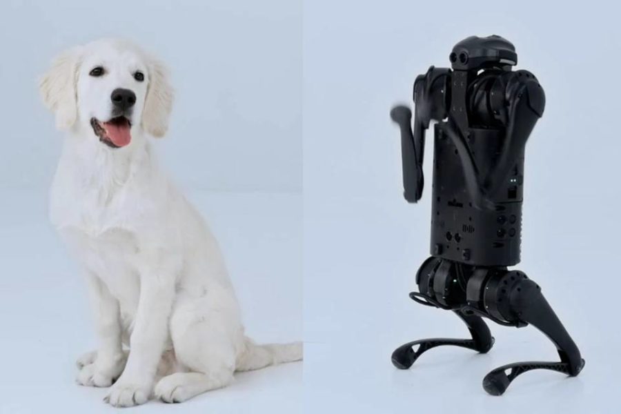 Собаку-робота в НГУ научили выполнять команды и искать человека