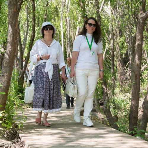 Новосибирск поделился опытом создания водно-зеленого каркаса на примере Ельцовского парка