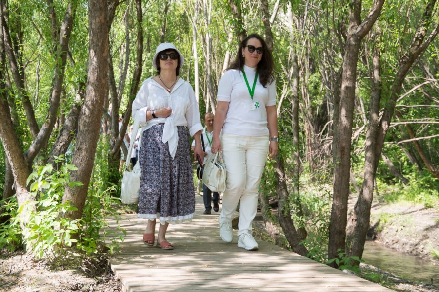 Новосибирск поделился опытом создания водно-зеленого каркаса на примере Ельцовского парка