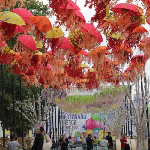 Флористы из Китая, Казахстана, Армении и России украшают улицу Ленина к фестивалю цветов