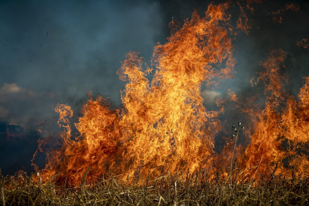 С начала пожароопасного сезона в Сибирском федеральном округе зарегистрировано 1379 природных пожаров