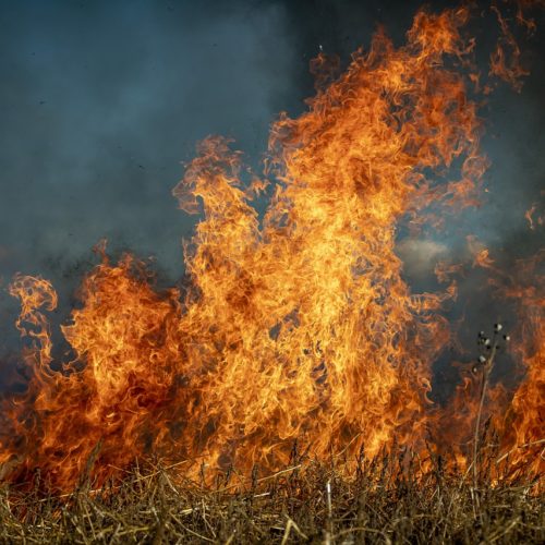 С начала пожароопасного сезона в регионах округа зарегистрировано 1379 пожаров