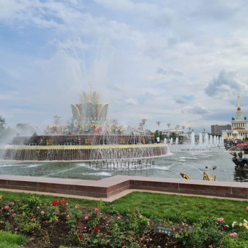 Новосибирская область представит свои достижения на ВДНХ в Москве