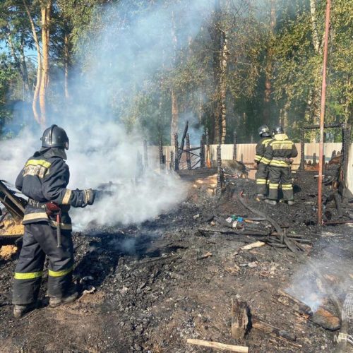11-летний ребенок погиб во время пожара на даче
