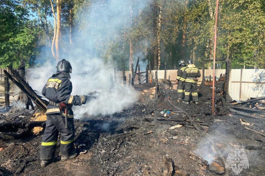 11-летний ребенок погиб во время пожара на даче