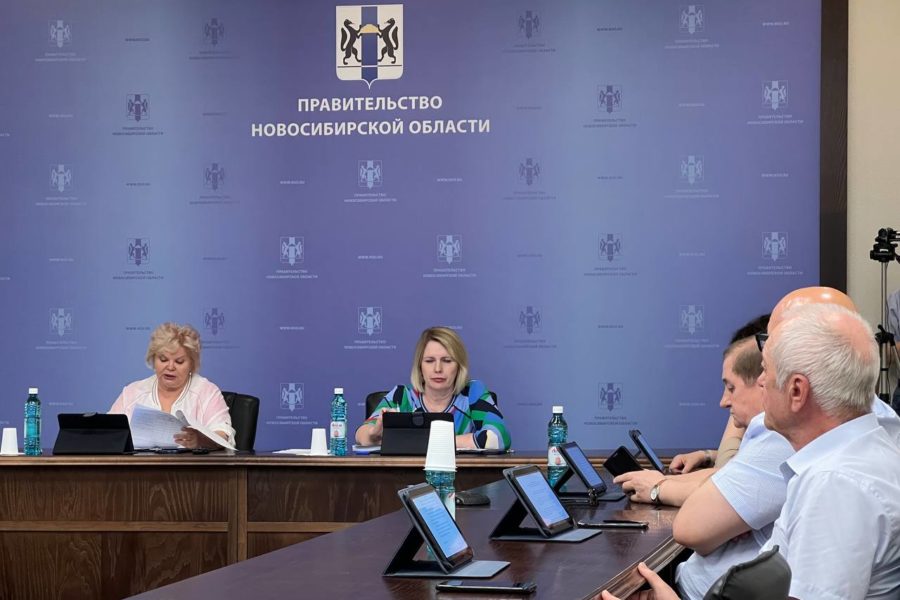 Избирком принял документы на проведение референдума по сохранению выборов мэра Новосибирска