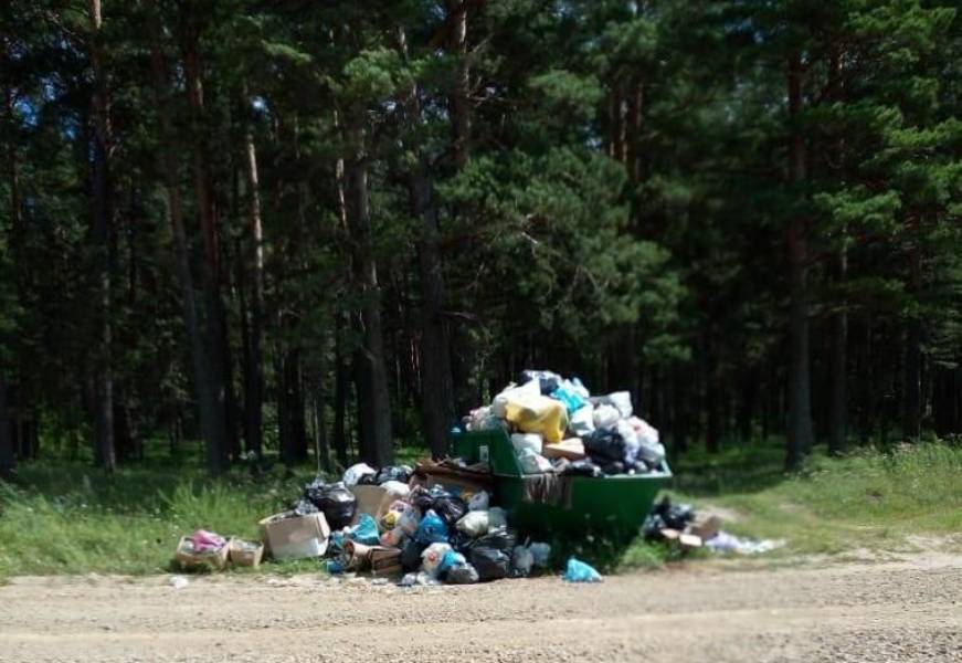 В Новосибирской области готовы давать гранты на уборку популярных мест отдыха после туристов