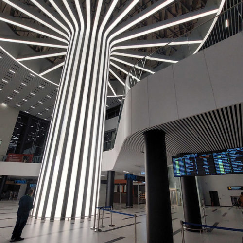 Аэропорт Толмачево объявил аукцион на строительство соединительной галереи между терминалами