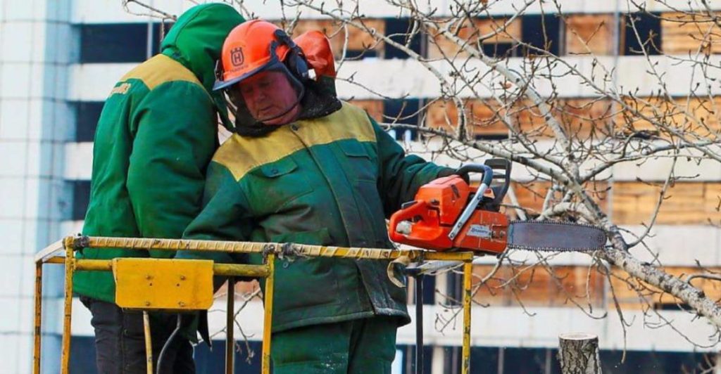 Реконструкция парка Березовая роща может занять 5 лет