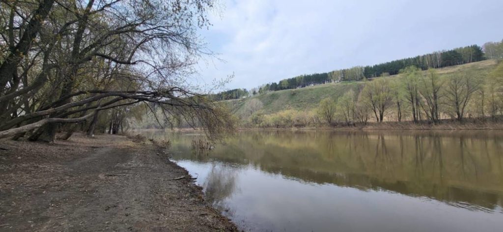 Парк в Первомайском районе получил название