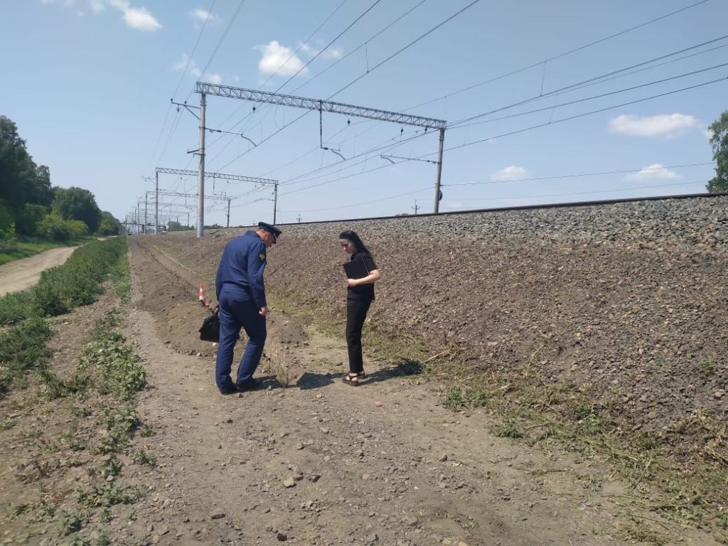 Подросток на мопеде вылетел с дороги в Новосибирской области