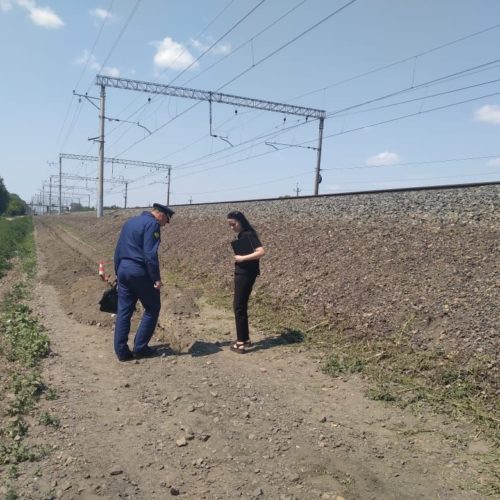 Подросток на мопеде вылетел с дороги в Новосибирской области