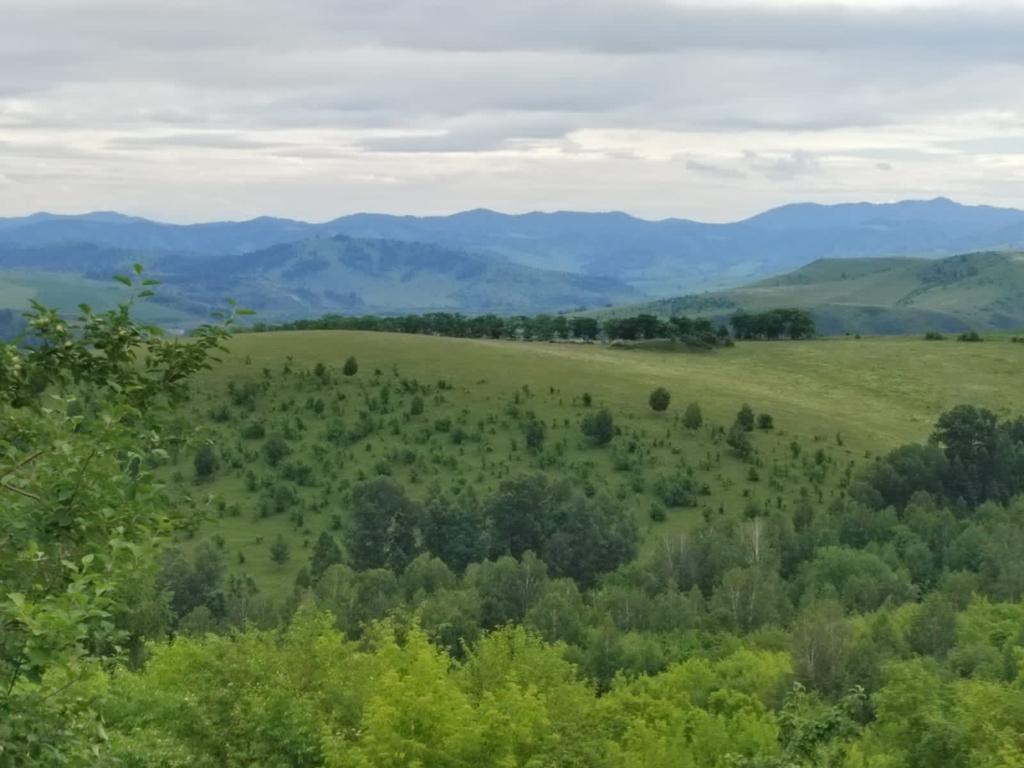 Ооо новый проект хабаровск