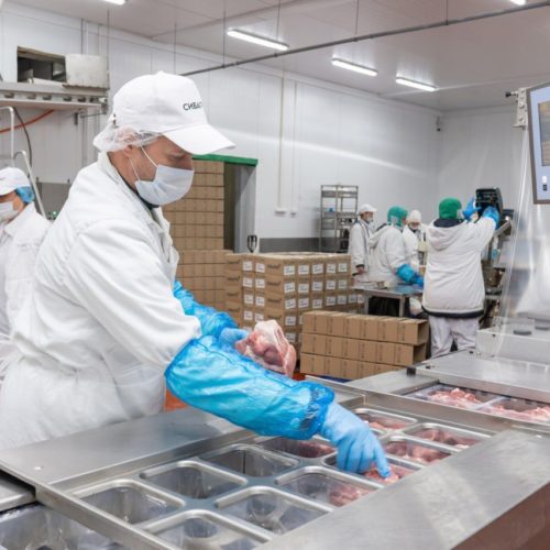 Кудряшовский мясокомбинат вступил в нацпроект «Производительность труда»
