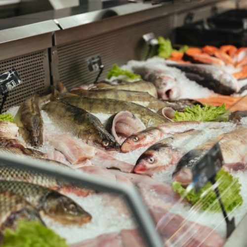 запретили импорт готовой продукции из рыбы и морепродуктов из недружественных стран