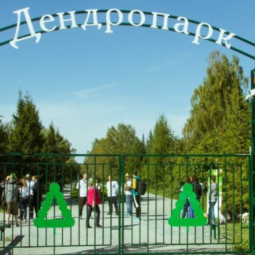 Реконструкции не будет: дендропарк в Новосибирске ждёт благоустройство