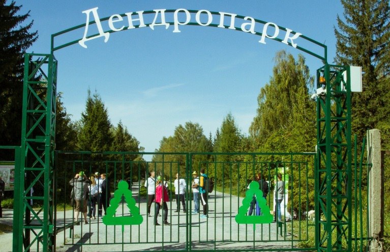 Реконструкции не будет: дендропарк в Новосибирске ждёт благоустройство