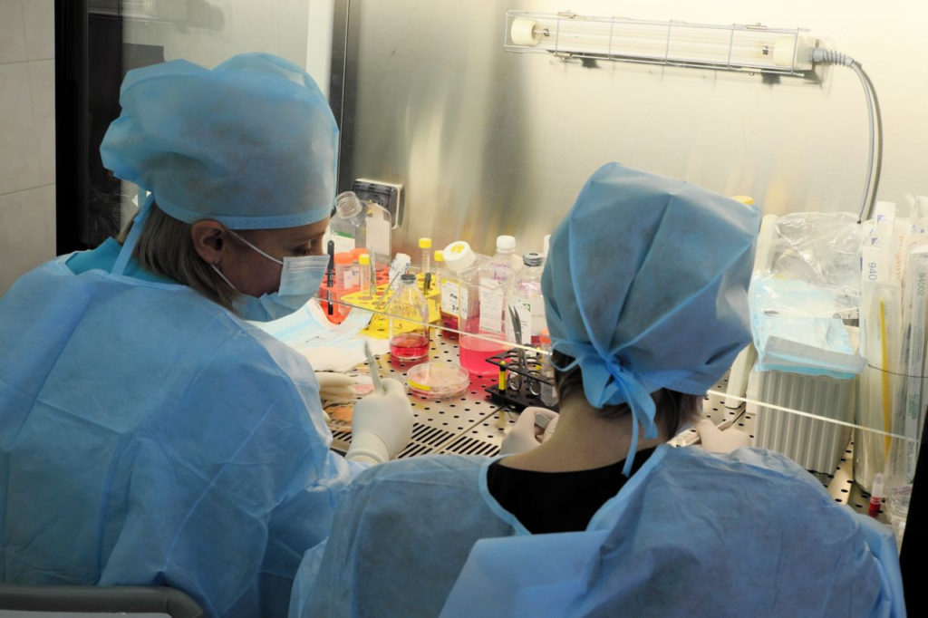 Быстро заживляют раны и лечат кишечник – биогели для медицины создают в НГТУ