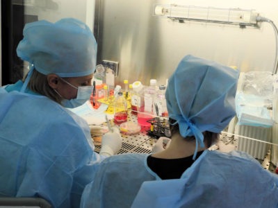 Быстро заживляют раны и лечат кишечник – биогели для медицины создают в НГТУ