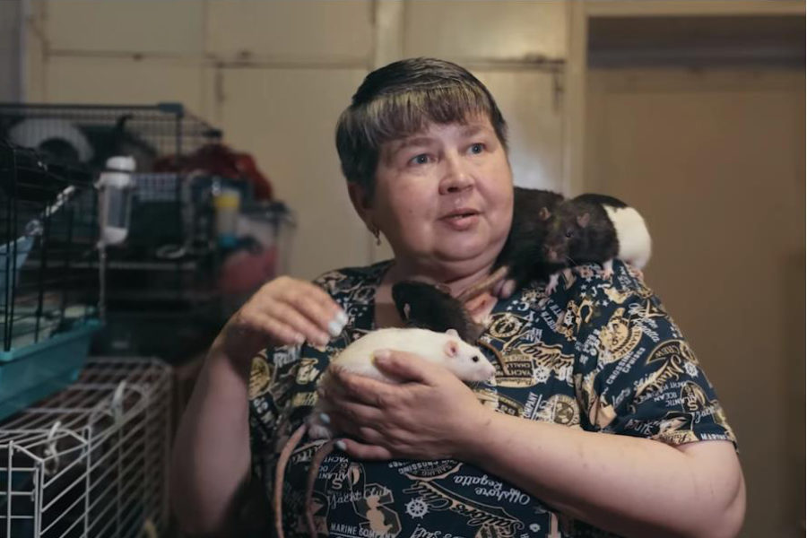 Крысиная мама: сибирячка завела в квартире 120 крыс из-за того, что разочаровалась в людях